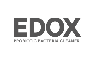 Avada Lifestyle Demo